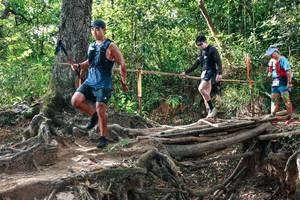 BIB: 
                            <button type="button" onclick="openModal(27557203)" class="btn btn-primary btn-sm float-right btn-popup" data-toggle="modal" data-target=".modal-high-quality">
                        <i class="fas fa-shopping-cart"></i> Add to Cart
                    </button>
                                            <button type="button" onclick="isThisMe(27557203, true)" class="btn btn-success btn-sm float-right btn-popup btn-isme hidden" data-toggle="tooltip" data-placement="bottom" title="นี่คือรูปของคุณใช่ไหม คลิกที่นี่เพื่อเอาเข้าอัลบั้ม">
                        <i class="fas fa-plus"></i> Add to album
                    </button>
                    <button type="button" onclick="isThisMe(27557203, false)" class="btn btn-warning btn-sm float-right btn-popup btn-isnotme hidden">
                        <i class="fas fa-ban"></i> Remove from album
                    </button>